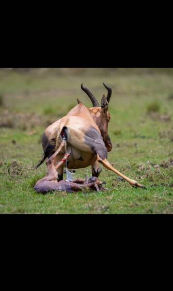 4 Nights 5 Days Tour Package