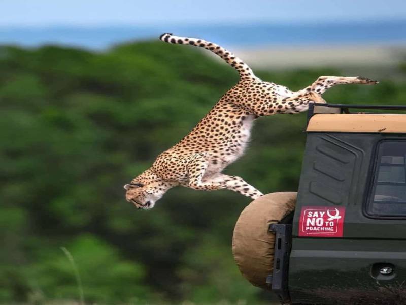 3 nights 4 days Nairobi, Masai Mara & Lake Naivasha