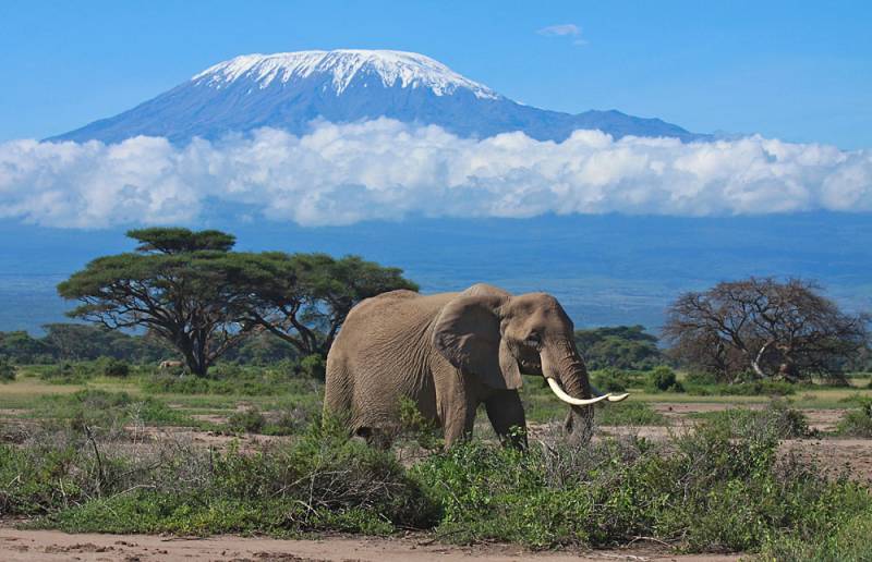 4 Days 3 Nights Amboseli Tsavo West - Tsavo East National Parks Tour