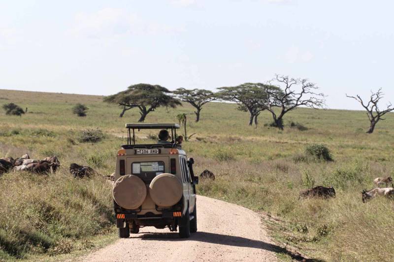 7 Days Serengeti Great Migration Safari Tour