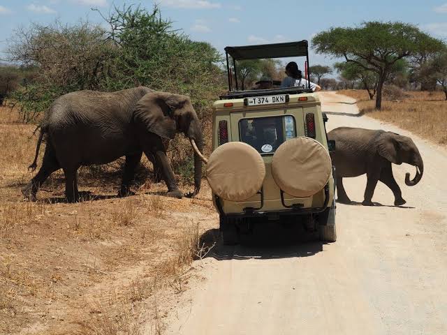 3-Day Serengeti & Ngorongoro Crater Safari – Tanzania