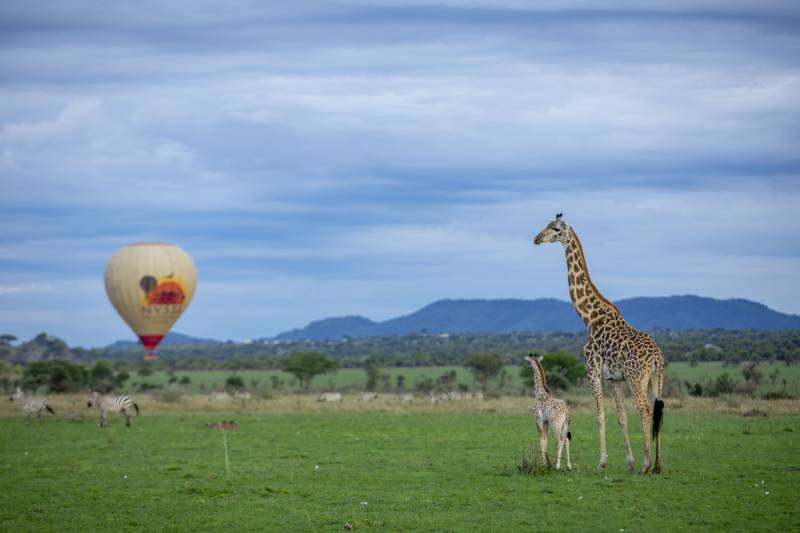 5 Days Balloon Safari