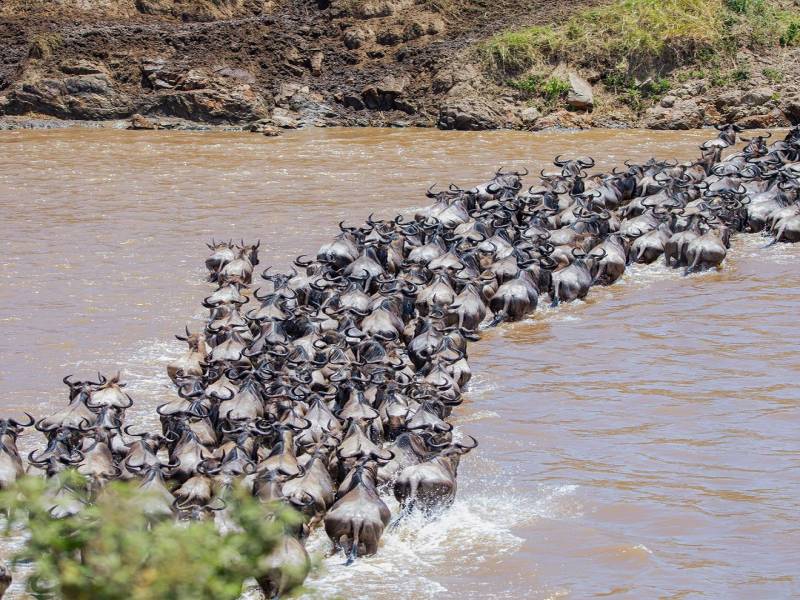 5-Day Serengeti Migration Safari