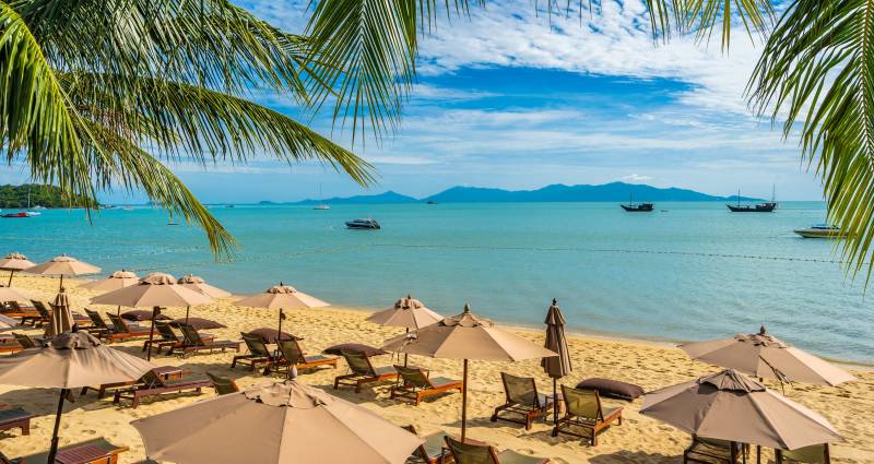 10 Days Luxury Tanzania Safari - Zanzibar Beaches Tour Image
