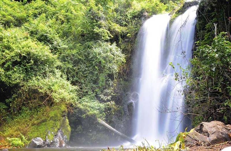 Marangu Waterfalls Day Tour Image