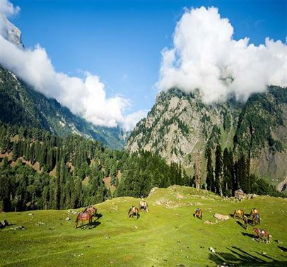4 Nights 5 Days Kashmir Tour Package