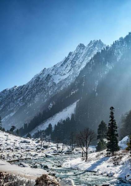 Four Nights  Five Days Kashmir Package for 4 Adults