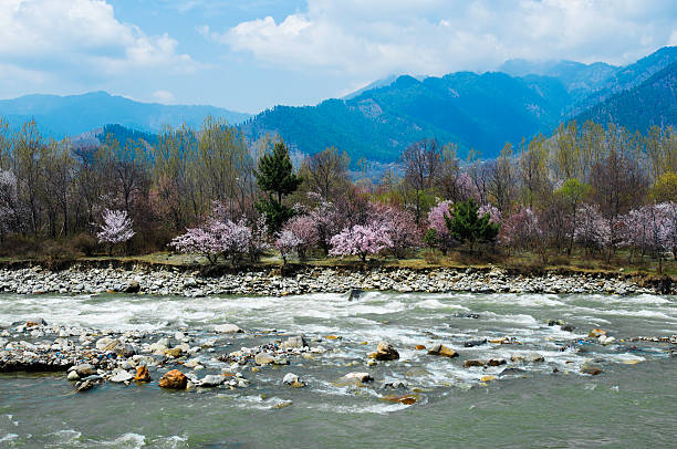 6nights 7days to Kashmir Trip