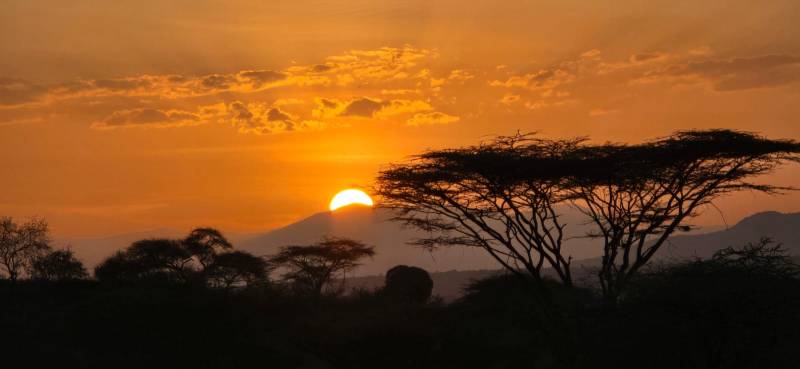 3 Days The Greatest Masai Mara Lake Naivasha Safari Image