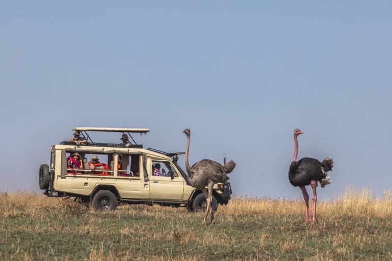 2 Days 1 Night Nairobi to Masai Mara Discovery Safari