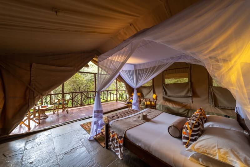 2 Days 1 Night Nairobi to Masai Mara Discovery Safari