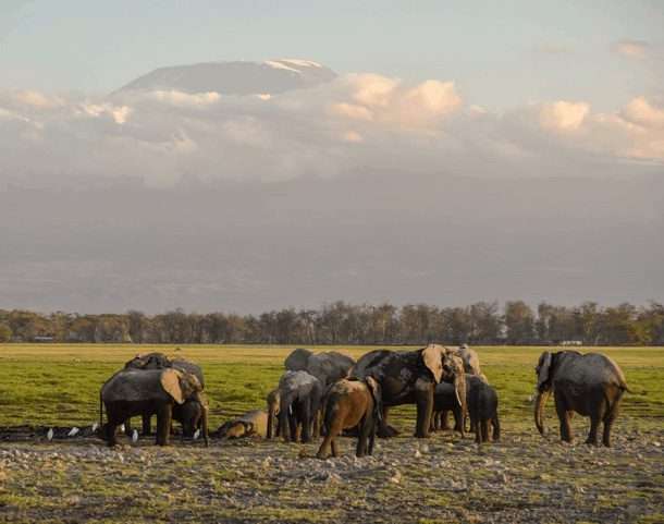 6 Day Fly - Drive Kenya Safari Tour From Diani Beach