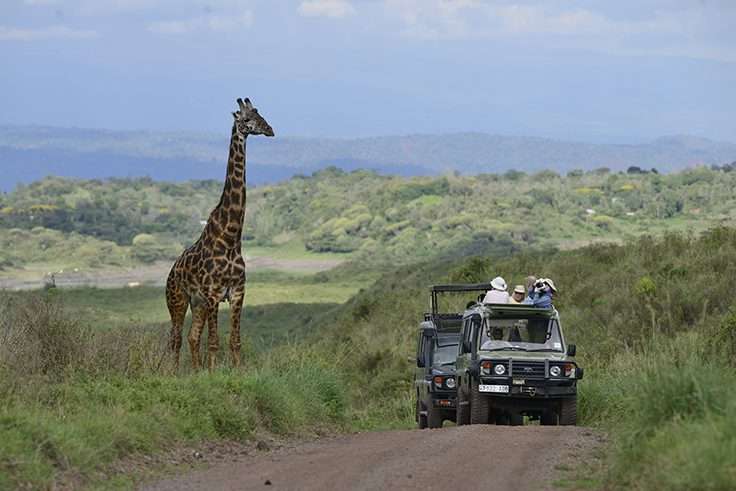 Arusha National Park Full Day Safari Trip