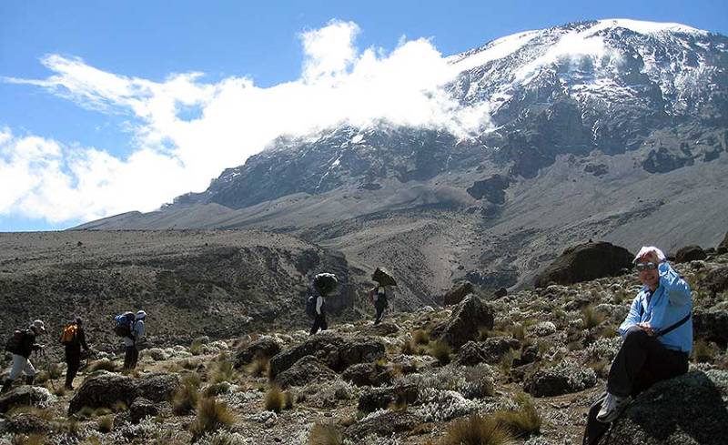 9 Days Kilimanjaro Trek Climbing The Machame Route Tour Image