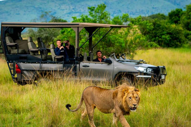 10D Rwanda Adventure Safari Experience Tour Image