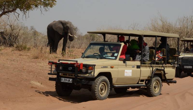 Chobe Day Trip Tour