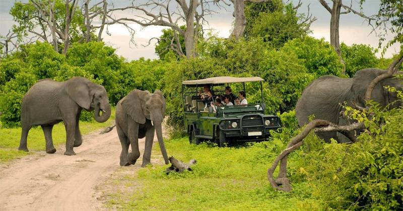 4 Nights  5 Days Okavango Delta and Kasane Tours