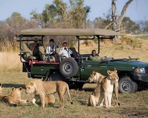 4 Nights  5 Days Okavango Delta and Kasane Tours