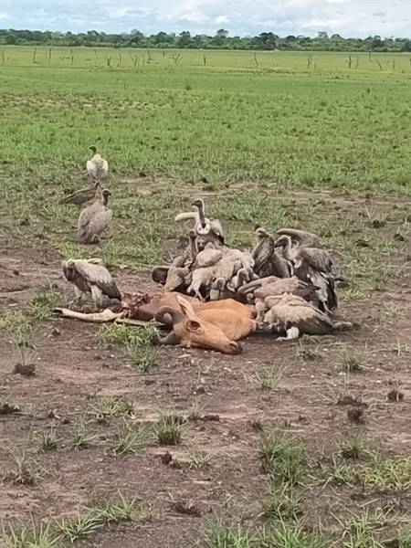 6 Nights 7 Days Best of 7 Days Adventure Tours