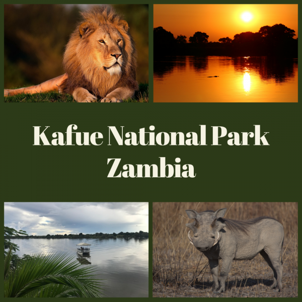 2 Nights, 3 Days Wonderful Kafue National Park (central Region)