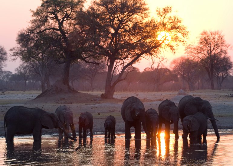2 nights 3 days Explore  Hwange National Park and Victoria Falls (Zimbabwe)