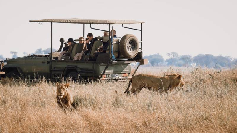 Chobe Day Trip Tour Image