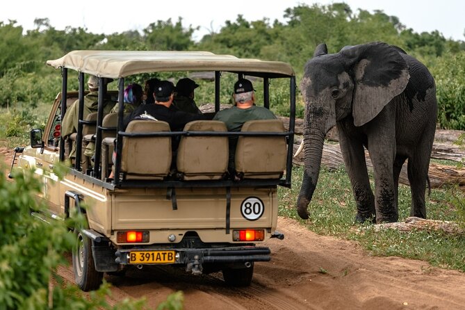 Chobe Day Trip Tour