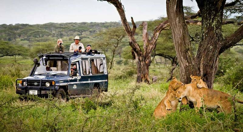 4 Nights 5 Days Explore Kasanka National Park Safari Tour