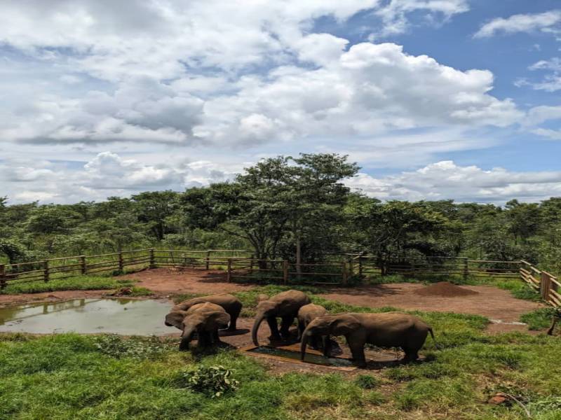 Explore Lusaka National Park Day trip