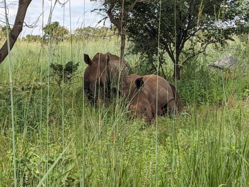 Explore Lusaka National Park Day trip