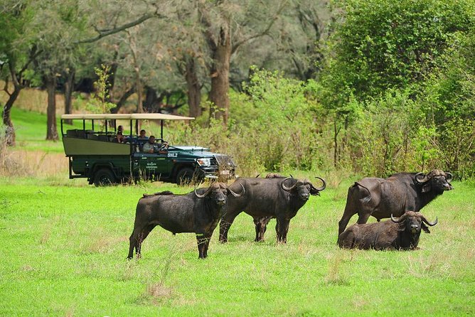 2n 3d Lusaka to Busanga Plains (Kafue National Park)