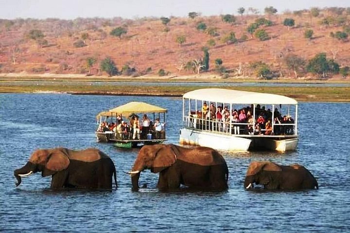 0 N 1 D Chobe Day Trip to Botswana