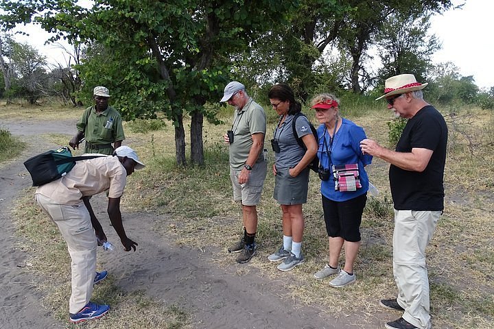 0 N 1d White Rhino Safari Tour in Mosi Oa Tunya N. P Image