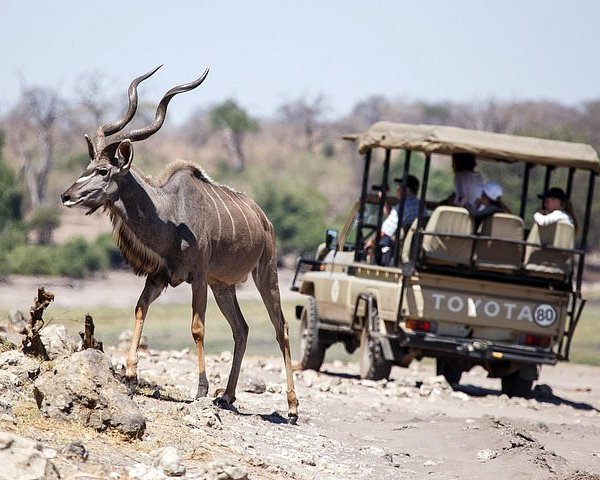 7N 8D Exciting Zambia, Zimbabwe  and Botswana Adventure Tour