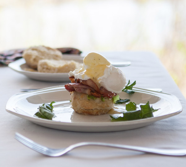 0N1D Game Drive and Sunset Boat Cruise Tour