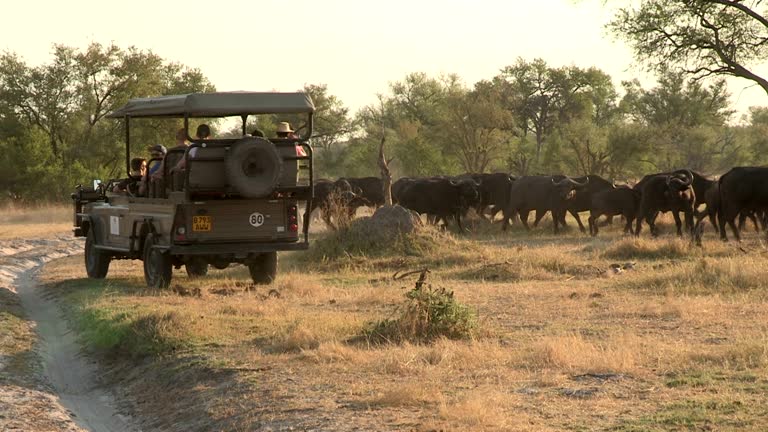 2 Nights/3 Days Hwange N/p Safari and Victoria Falls Tour
