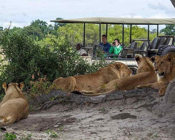 2 Nights/3 Days Hwange N/p Safari and Victoria Falls Tour