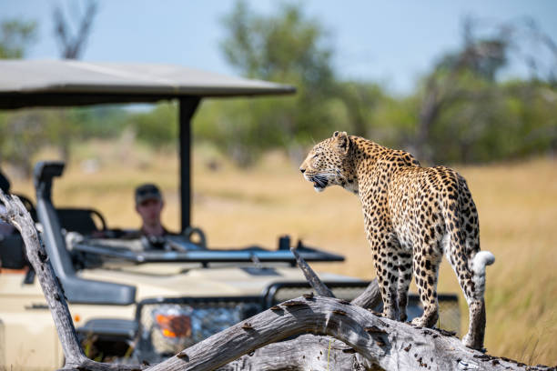 2 Nights/3 Days Hwange N/p Safari and Victoria Falls Tour