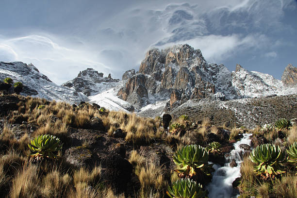 6 Days Mt. Kenya Trekking ,Sirimon - Chogoria