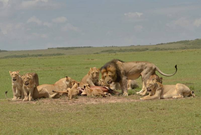 7 Days Nairobi- Samburu- Nakuru Mara
