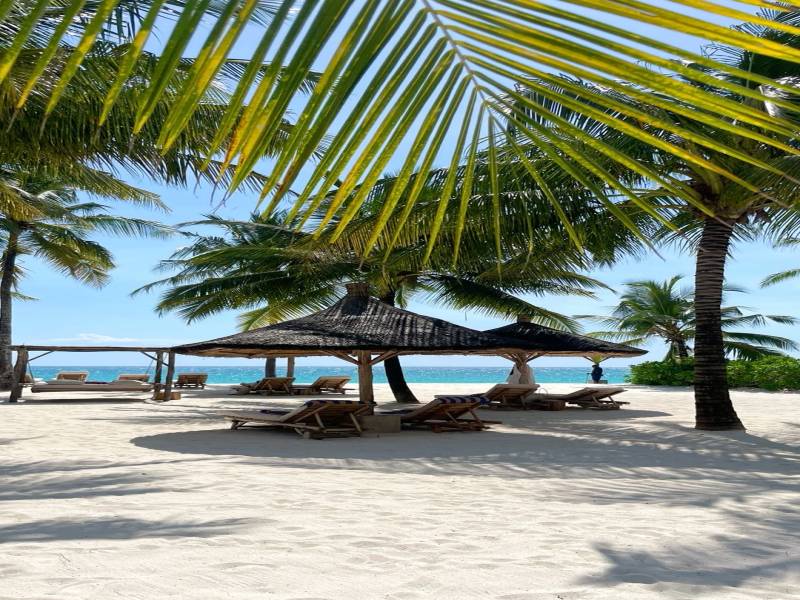 10-Day Southern Circuit of Tanzania Safari