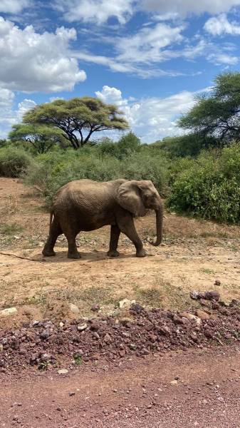 3-Day Midrange From Zanzibar To Serengeti National Park