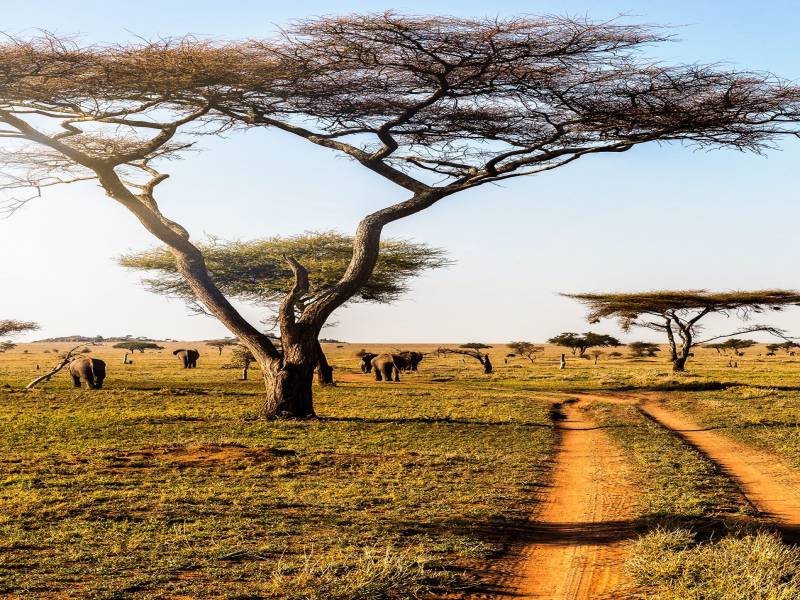 6-Day Tarangire, Serengeti & Ngorongoro Adventures