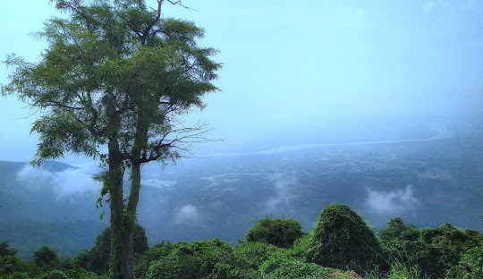 Palamalai Hills Trekking Trip