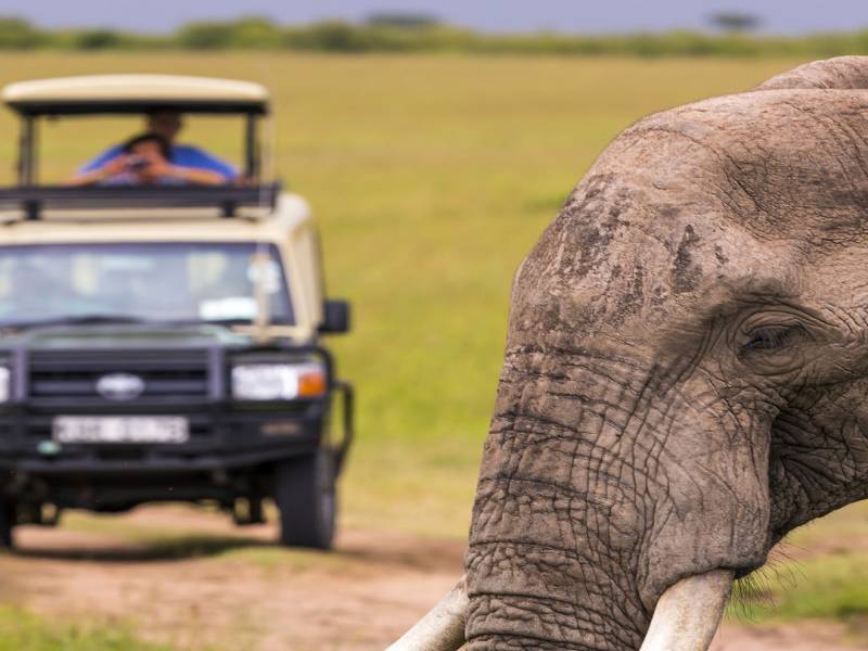 6 Nights 7 Days In Magical Kenya