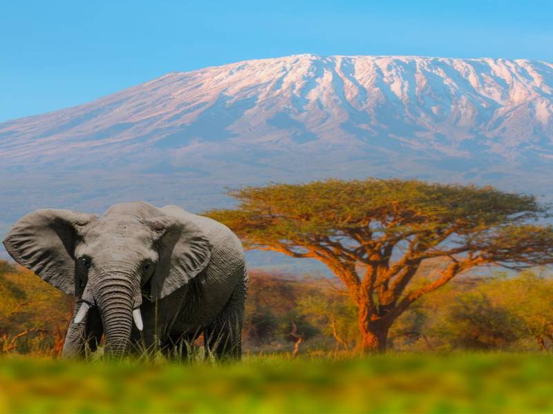 6 Nights 7 Days Kenya Epic Migration Safari Offers Image