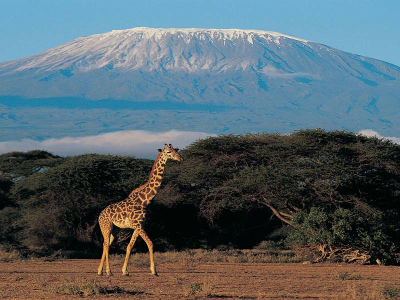 8 Nights 9 Days Kenya Safari & Beach Escape