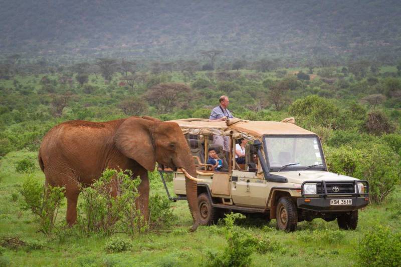 3 Days Kenya Lodge Safari To Samburu National Reserve Tour Image