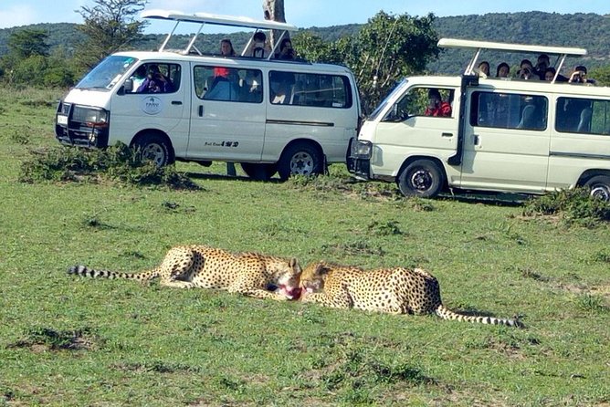 6 Days Kenya Budget Small Group Safari Tour Image