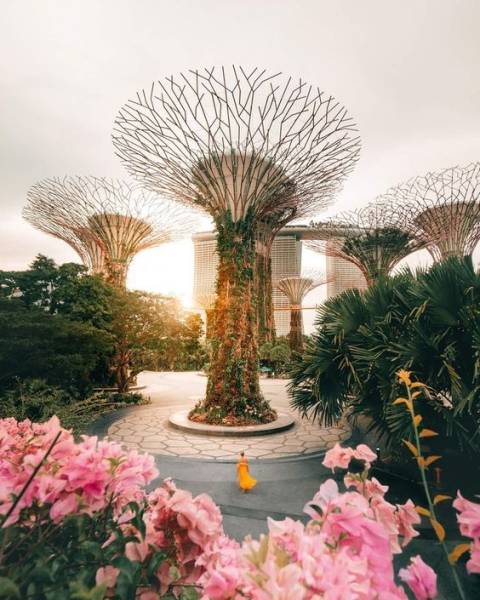 Singapore Tour